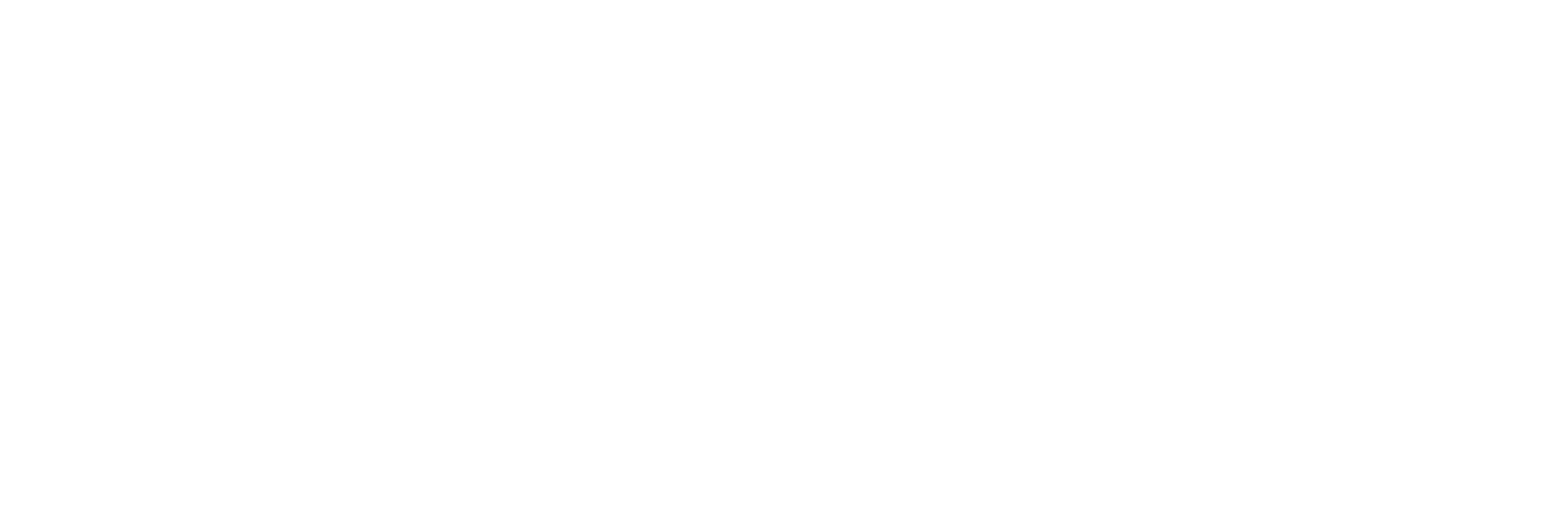 Logo CFES