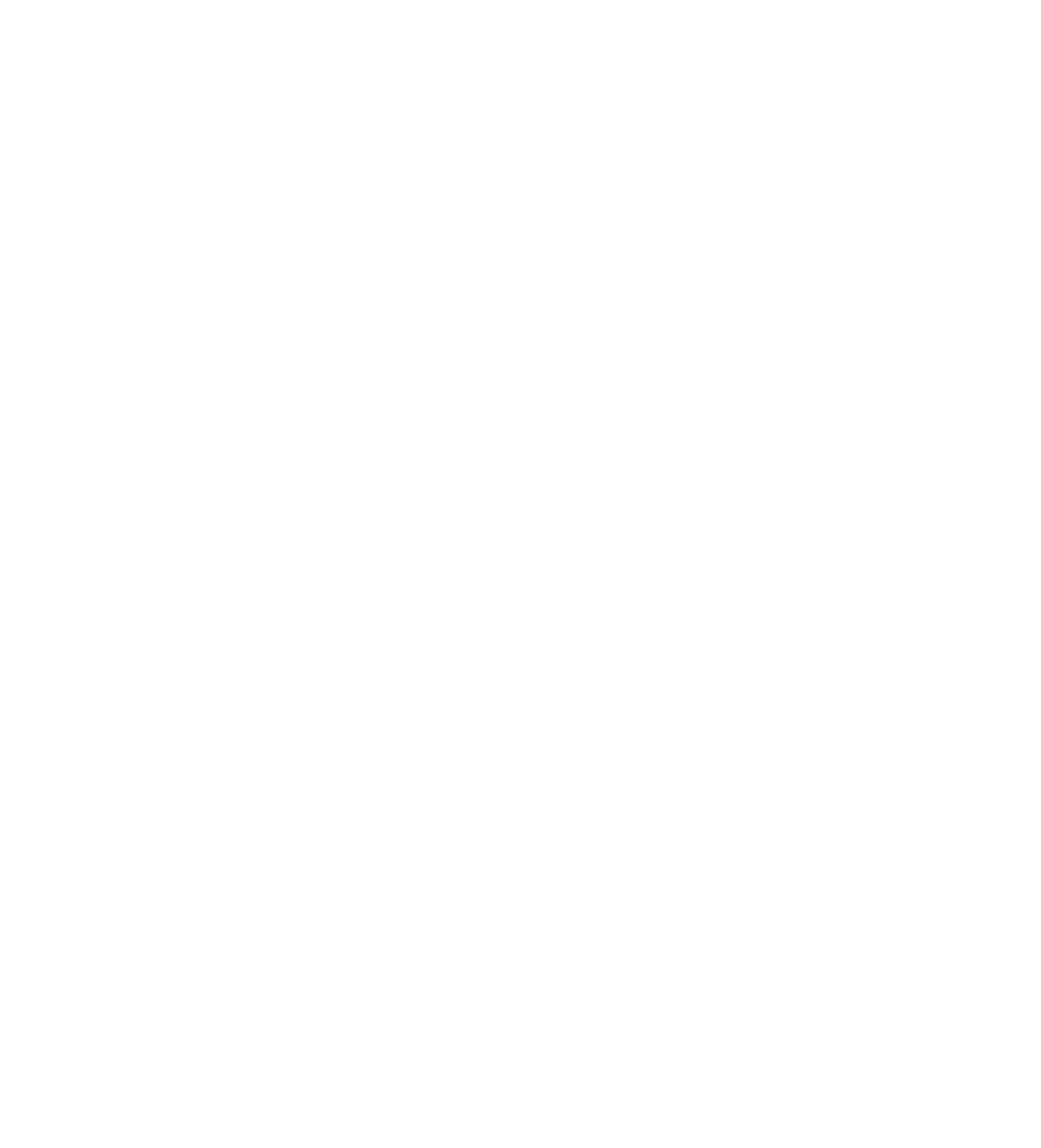 Logo CFES